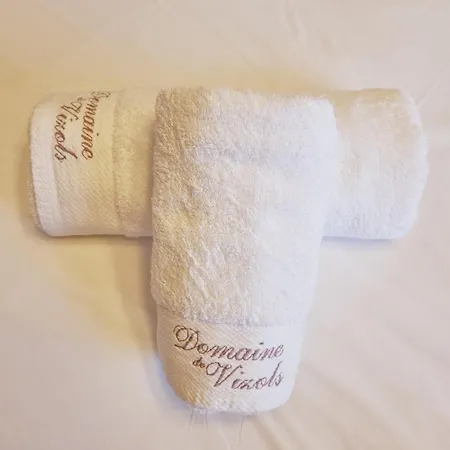 Prázdninový dům Domaine De Vizols-gite 4 Etoiles Piscine 15p *