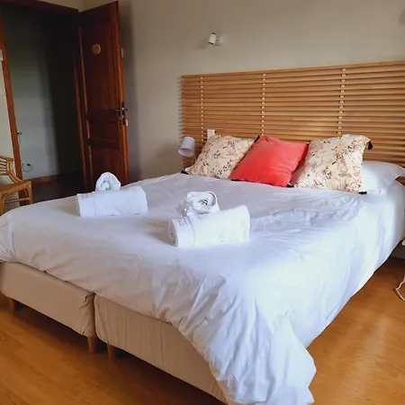 Domaine De Vizols-gite 4 Etoiles Piscine 15p Prázdninový dům