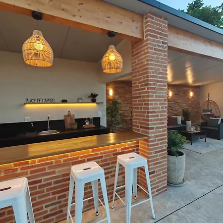 Domaine De Vizols-gite 4 Etoiles Piscine 15p * Garrigues (Tarn)