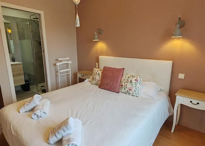 Domaine De Vizols-gite 4 Etoiles Piscine 15p * Garrigues (Tarn)