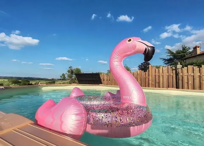 Domaine De Vizols-gite 4 Etoiles Piscine 15p * Garrigues (Tarn)