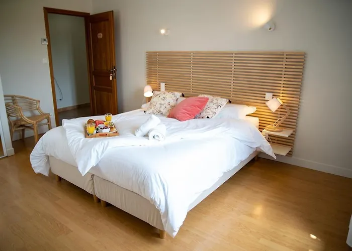 펜션 Domaine De Vizols-gite 4 Etoiles Piscine 15p Garrigues (Tarn)