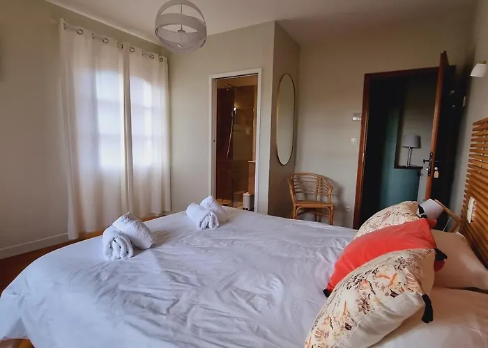 Domaine De Vizols-gite 4 Etoiles Piscine 15p Garrigues (Tarn)