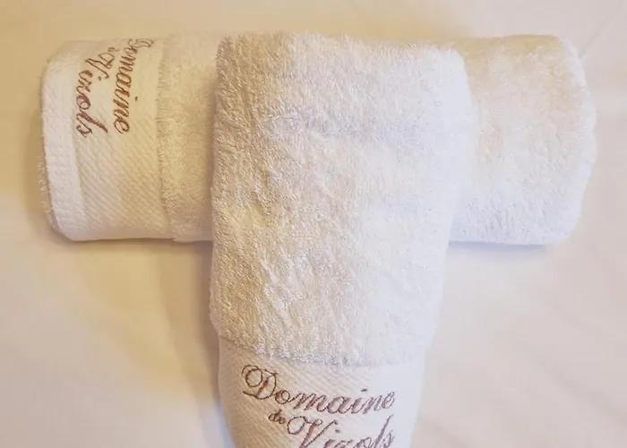 펜션 Domaine De Vizols-gite 4 Etoiles Piscine 15p *