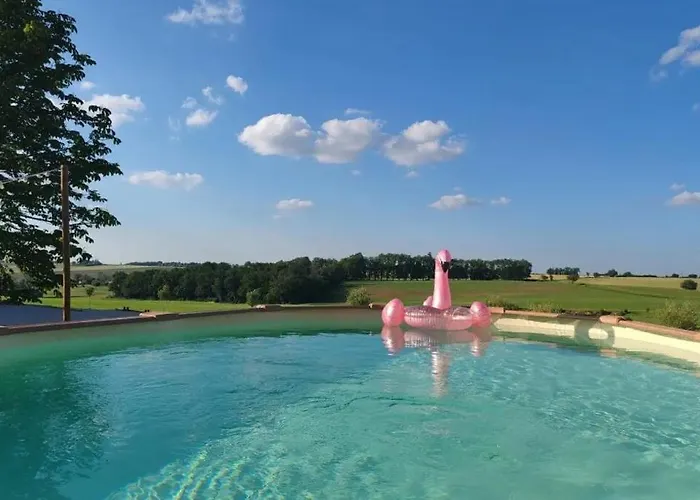 Domaine De Vizols-gite 4 Etoiles Piscine 15p 펜션 Garrigues (Tarn)