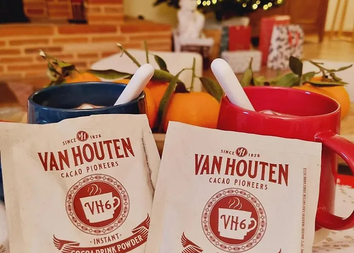 Domaine De Vizols-gite 4 Etoiles Piscine 15p 펜션 *